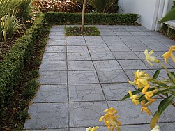 Premier Palazzo Paver 450x450